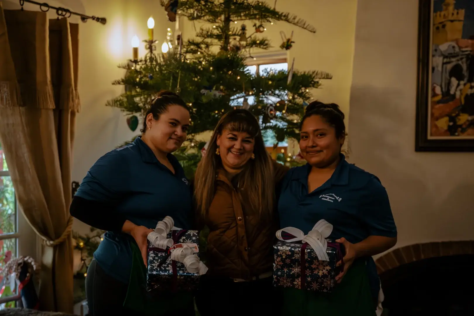 Professional Cleaning