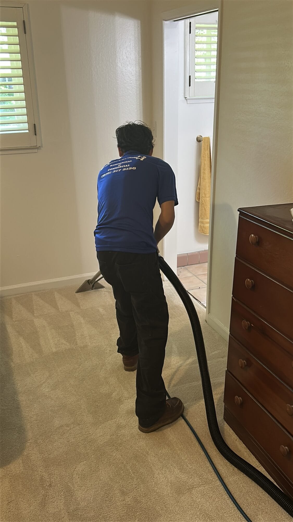 Professional carpet cleaning technician in Hollywood Park, CA