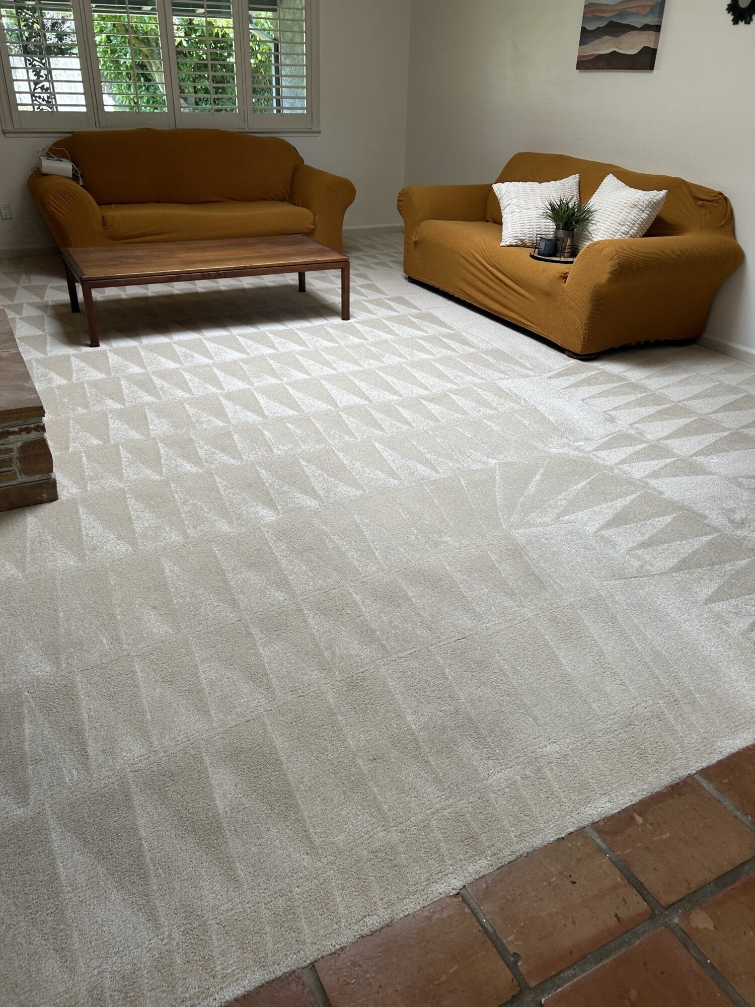 Professional carpet cleaning in Whitney Oaks, Rocklin, CA