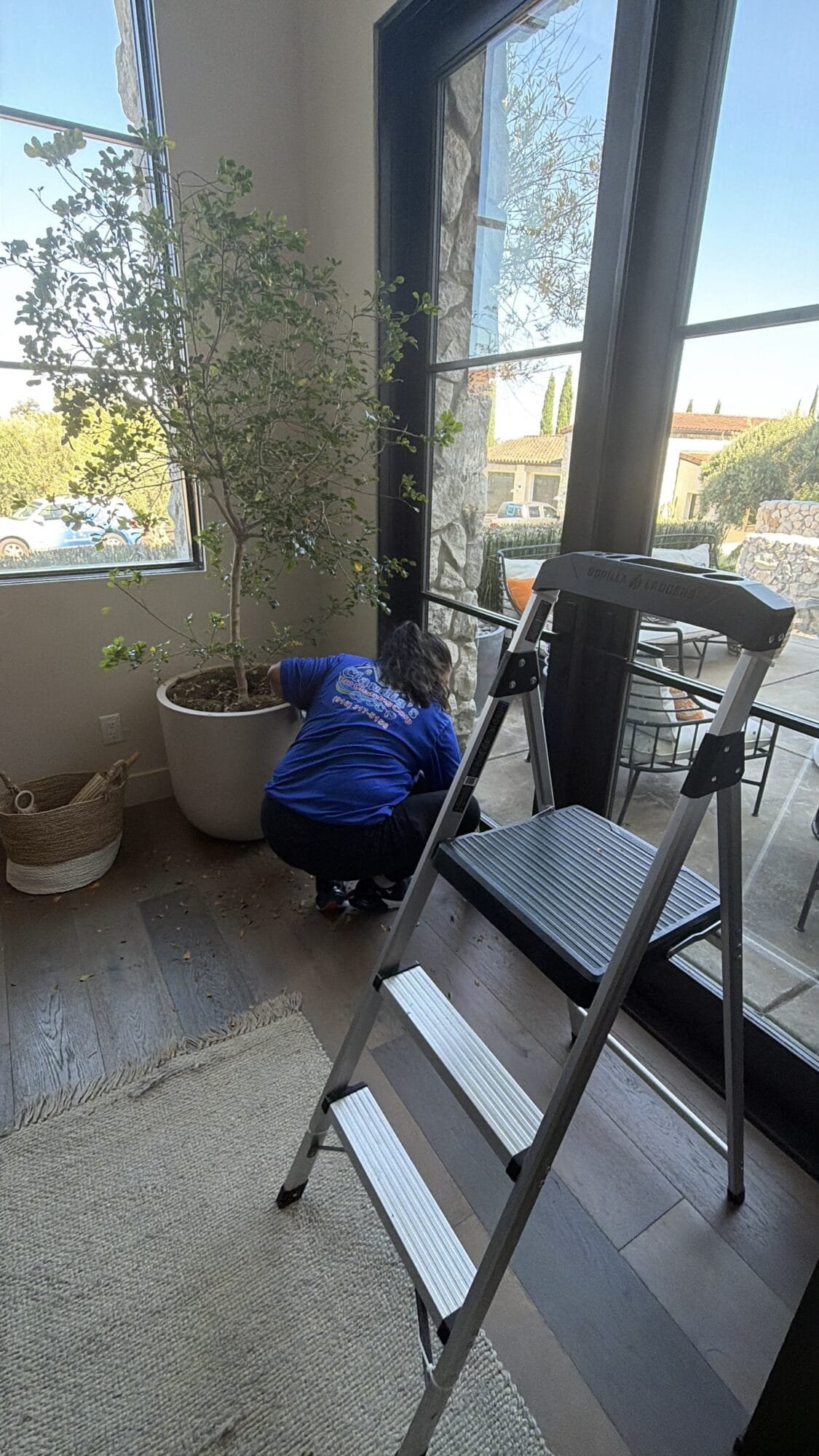 Recurring house cleaning technician cleaning ceiling fan in South Land Park Sacramento CA