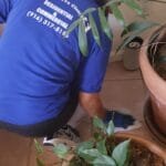 Deep Cleaning Carmichael CA by Claudia’s Pro Cleaning