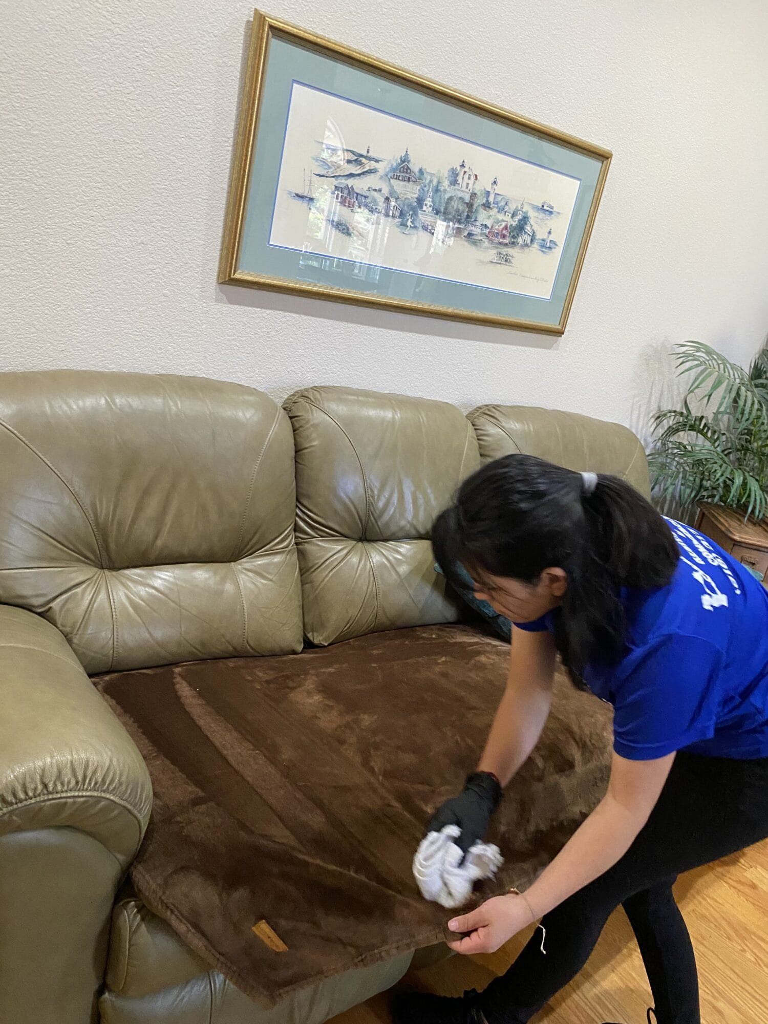 Professional deep cleaning technician cleaning living room furniture in Carmichael CA