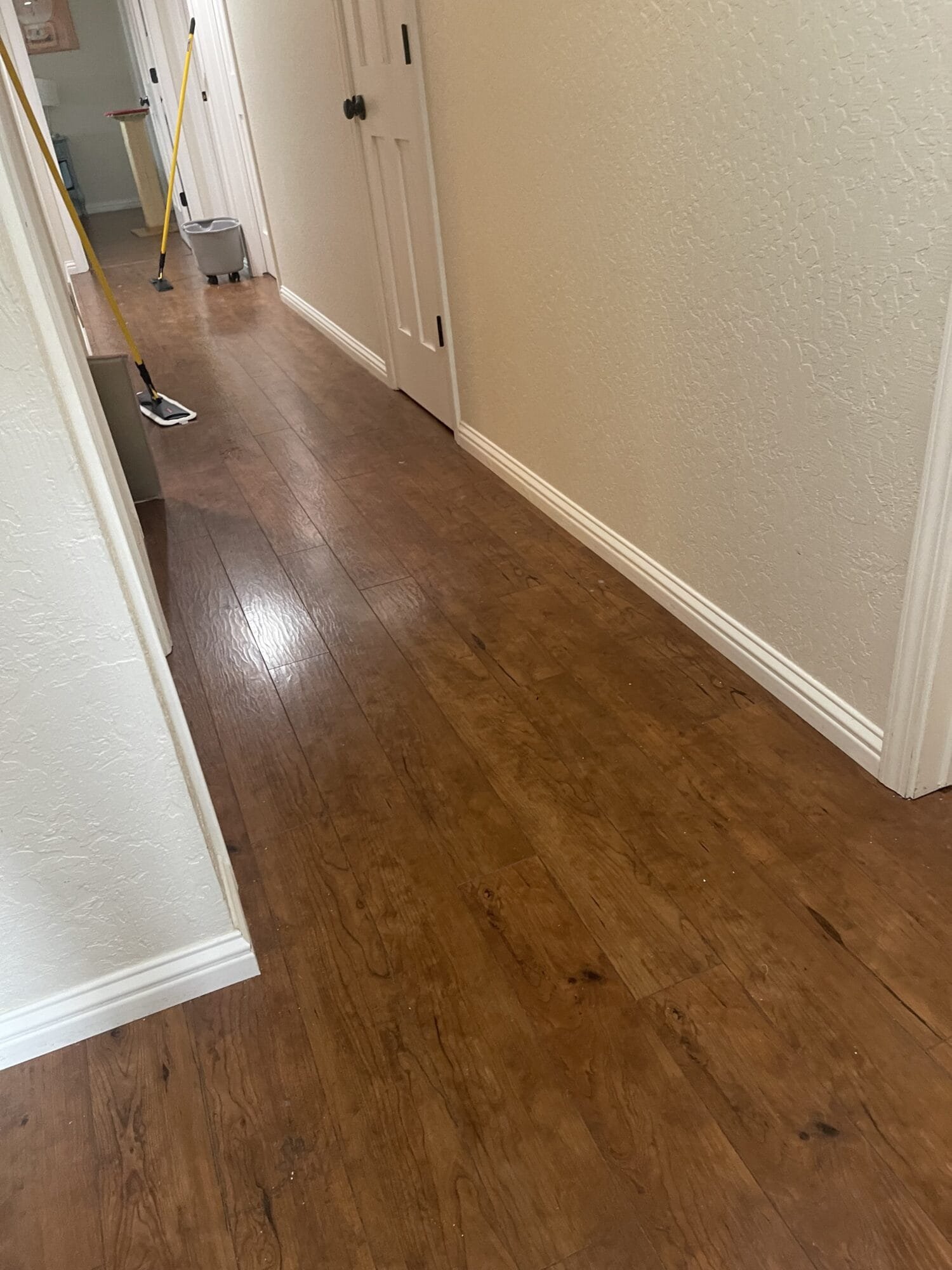 Professional maid cleaning floors in a Davis, CA home