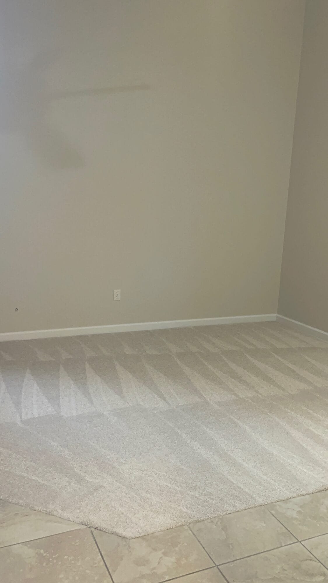 Professional carpet cleaning in Woodland, CA by Claudia’s Pro Cleaning